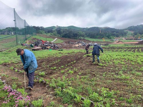 金瀚田園在鞍山成立首家都市休閑農業產學研示范基地 總投資約100萬元